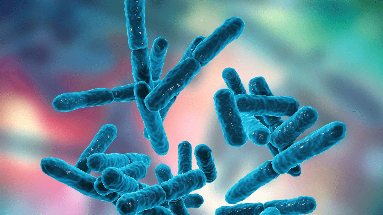 probiotics for men's digestive health